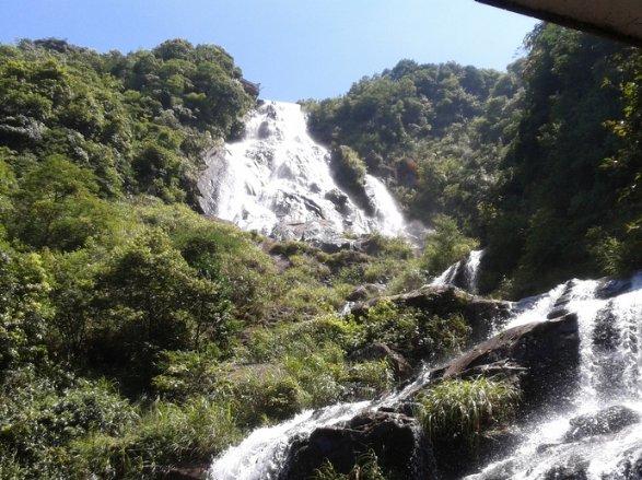 宁波首家特医食品企业落地前湾新区